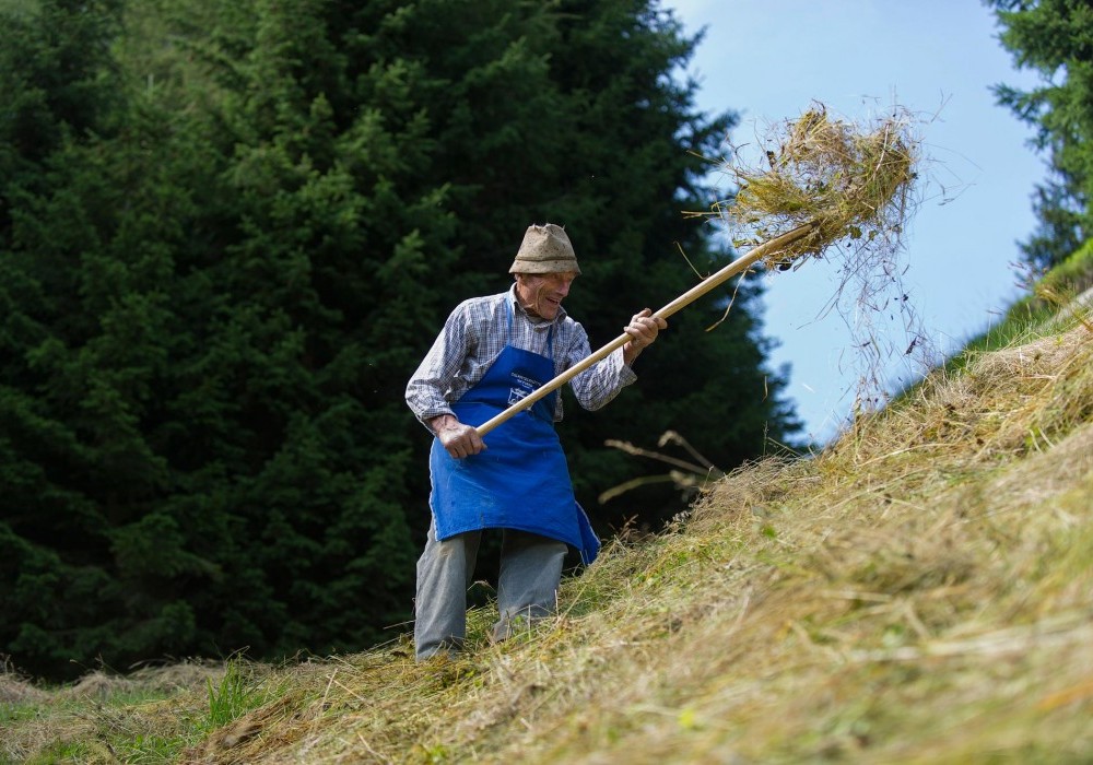 &copy; TVB Hochpustertal, H. Oberhofer